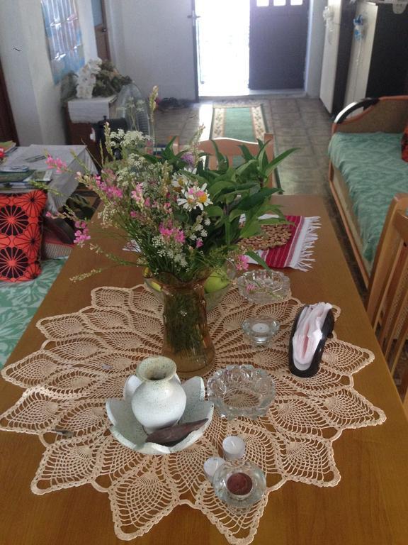Eco Garten Guest House Шкодер Екстер'єр фото