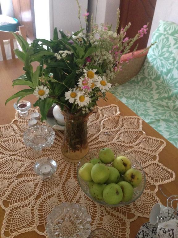 Eco Garten Guest House Шкодер Екстер'єр фото
