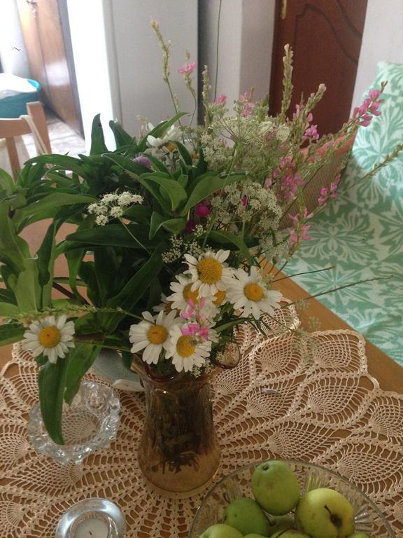 Eco Garten Guest House Шкодер Екстер'єр фото