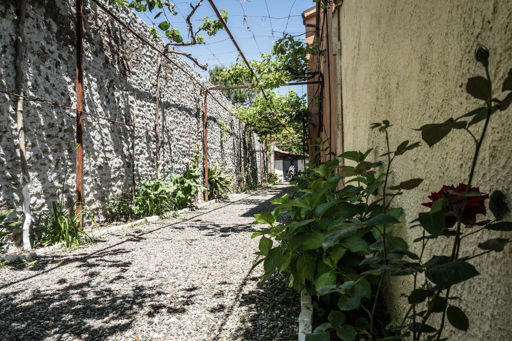 Eco Garten Guest House Шкодер Екстер'єр фото