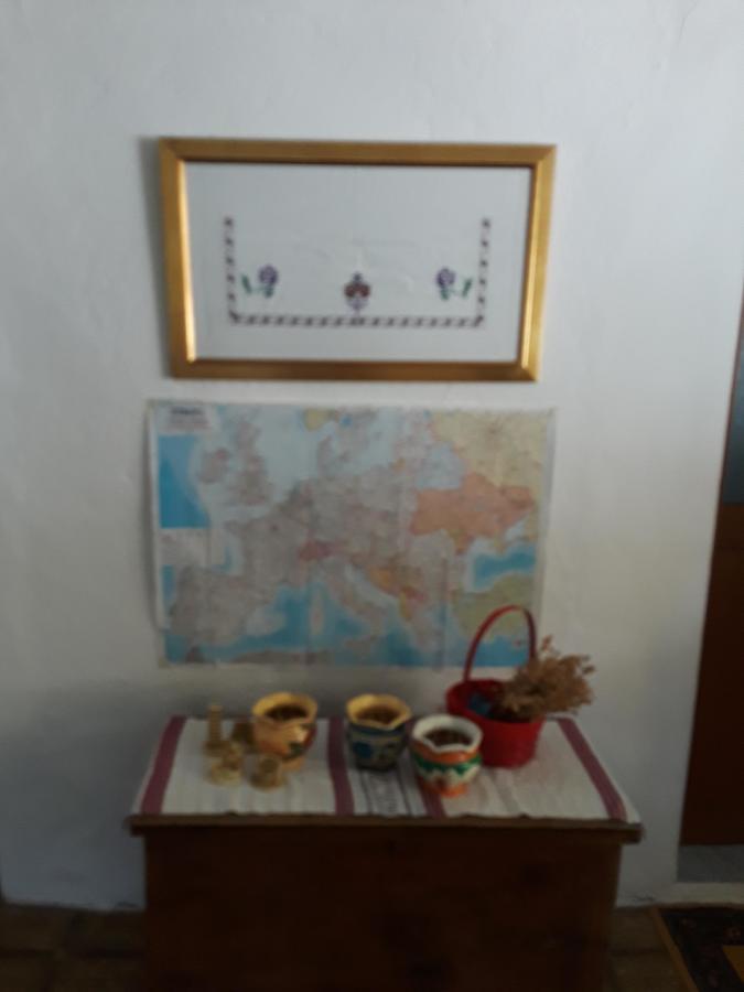 Eco Garten Guest House Шкодер Екстер'єр фото